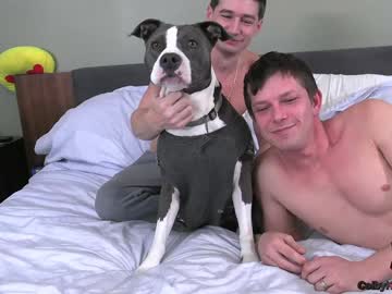 webcam man colbyknox live cam image #11556607