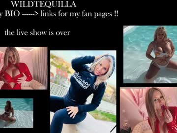 webcam girl wildtequilla live cam image #12830849