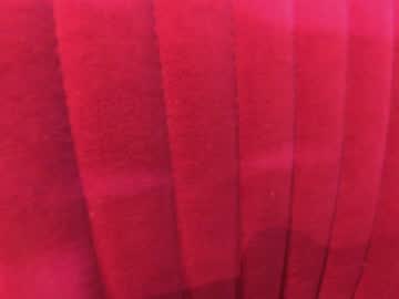 webcam girl ehotlovea live cam image #8160936