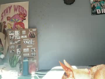 webcam girl amysmilez live cam image #11079415