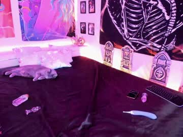 webcam girl daphnemadison live cam image #7280207