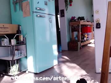 webcam girl artemisfit live cam image #1295063