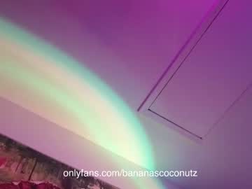 webcam girl bananascoconutz live cam image #5954652