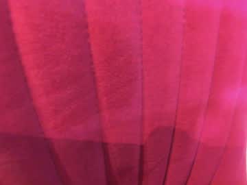 webcam girl ehotlovea live cam image #8230124