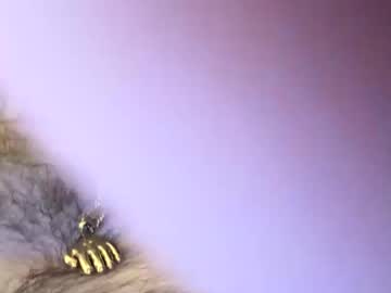 webcam couple curiousinnocentcouple live cam image #10875309