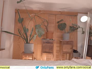 webcam girl ocicat live cam image #3316631