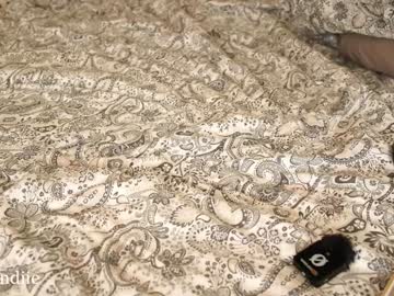 webcam girl bestblondiiecb live cam image #12943039