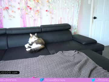 webcam girl rosiebones live cam image #5293545