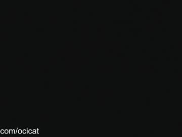 webcam girl ocicat live cam image #11198110