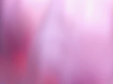 webcam girl ehotlovea live cam image #12248953