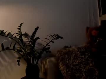 webcam man noha_miler live cam image #9162945