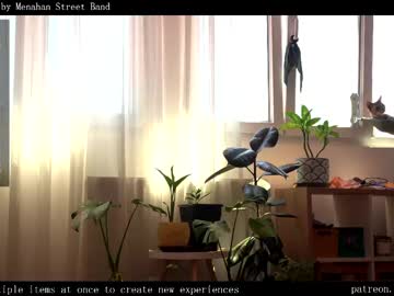webcam girl ms_dira live cam image #12283653