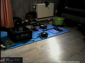 webcam man anythingrp live cam image #4369078