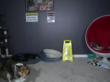 webcam man sydaffect live cam image #13047532