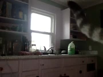 webcam girl kittylady420 live cam image #1160883