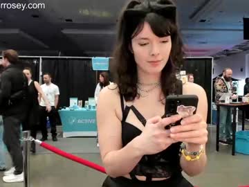 webcam girl tiggerrosey live cam image #8437755
