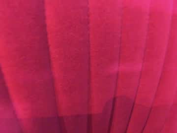 webcam girl ehotlovea live cam image #8150734
