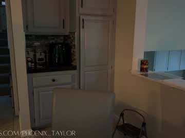 webcam girl phoenix_taylor live cam image #12550617