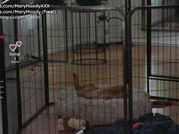 webcam girl marymoody live cam image #3114218