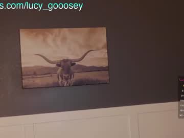 webcam girl lucy_gooosey live cam image #6278028