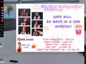webcam girl ginger_pie live cam image #691483