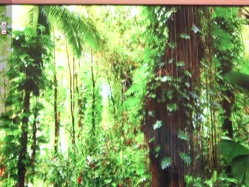 webcam girl oki_dokie live cam image #7928390