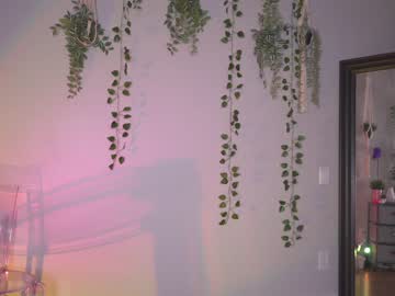 webcam girl sunniedayz live cam image #3604962