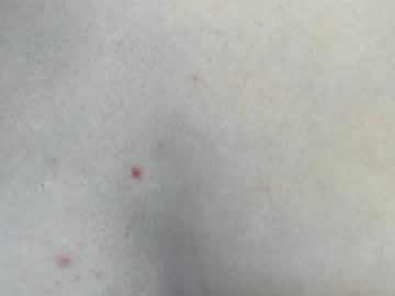 webcam girl bonny_bigboobs live cam image #1280820