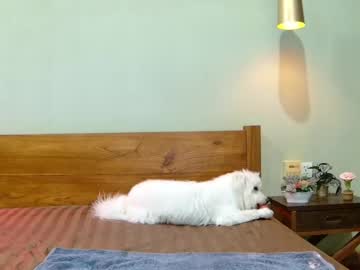 webcam girl hersheys_aran live cam image #10729013