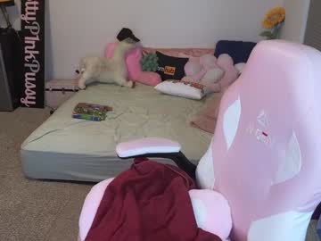 webcam girl pr3ttyp1nkpussy live cam image #12384565