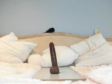 webcam girl eatmygingersnapps live cam image #12987516
