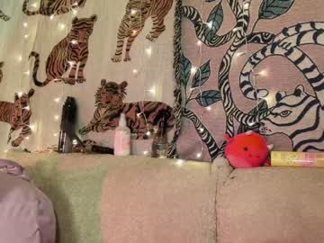 webcam girl ari_02 live cam image #8744257