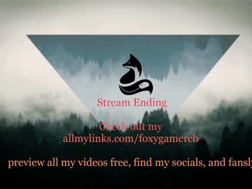 webcam girl foxy_gamer live cam image #6384270