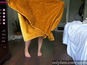 webcam girl sophie_fennec live cam image #6397716