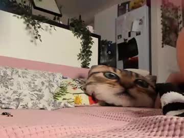 webcam girl sonjashy live cam image #2557517