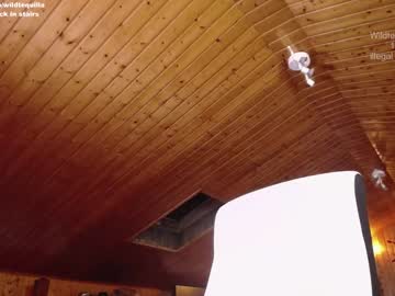 webcam girl wildtequilla live cam image #1545735
