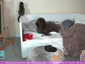 webcam girl vivid_whit live cam image #2503002
