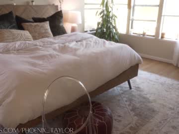 webcam girl phoenix_taylor live cam image #12860390