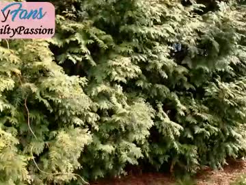 webcam girl yourguiltypassionn live cam image #2211101