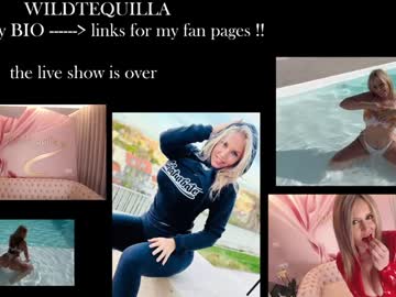 webcam girl wildtequilla live cam image #13018982