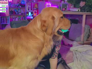 webcam girl goldengoddessxxx live cam image #12933621