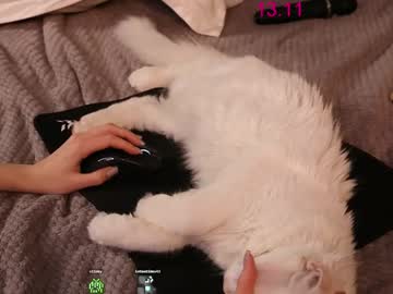 webcam girl lissa_meooow live cam image #11030553