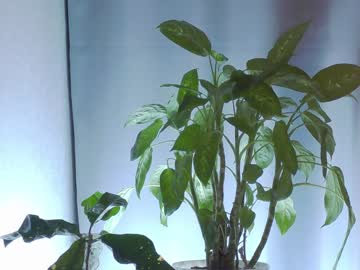 webcam girl katrin_sweeft live cam image #6276434