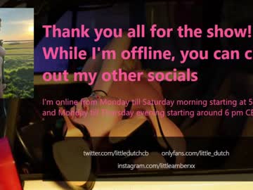 webcam girl little_dutch live cam image #2333805