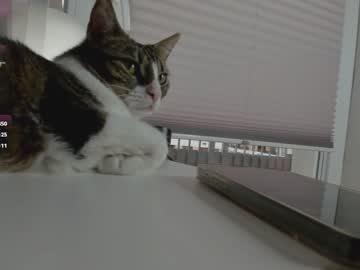 webcam girl sugar_rainbow live cam image #12676412