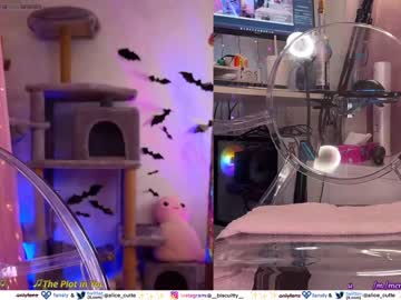 webcam girl _biscuitty live cam image #8749327