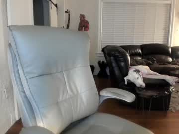 webcam girl alicelighthouse live cam image #3393442