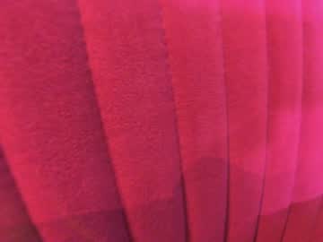 webcam girl ehotlovea live cam image #8152585
