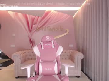 webcam girl wildtequilla live cam image #3392442