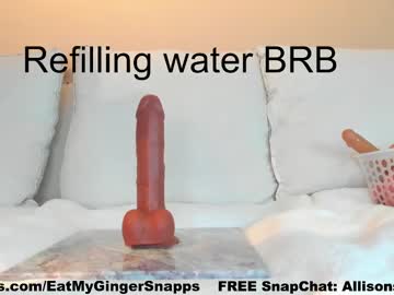 webcam girl eatmygingersnapps live cam image #6750365